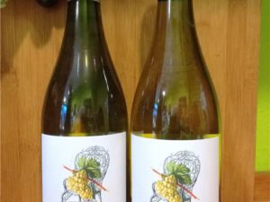 Weissburgunder vom Kaiserstuhl